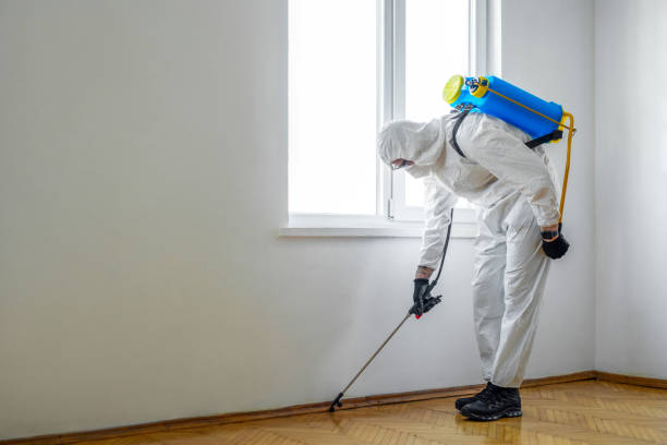 servicio de fumigación de insectos en Soria