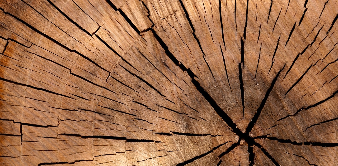 Tratamiento de la madera